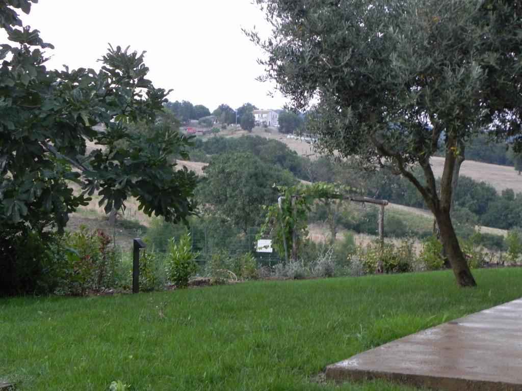 Agriturismo Sugheretello Semproniano Exterior foto